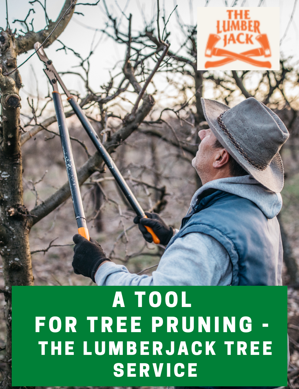 A Tool for Tree Pruning — The Lumberjack Tree Service The Lumber Jack
