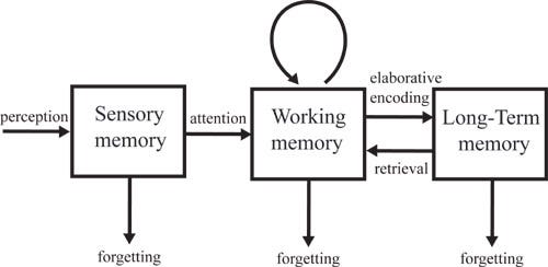 Human Memory (HCI). Understanding Human Memory in HCI.