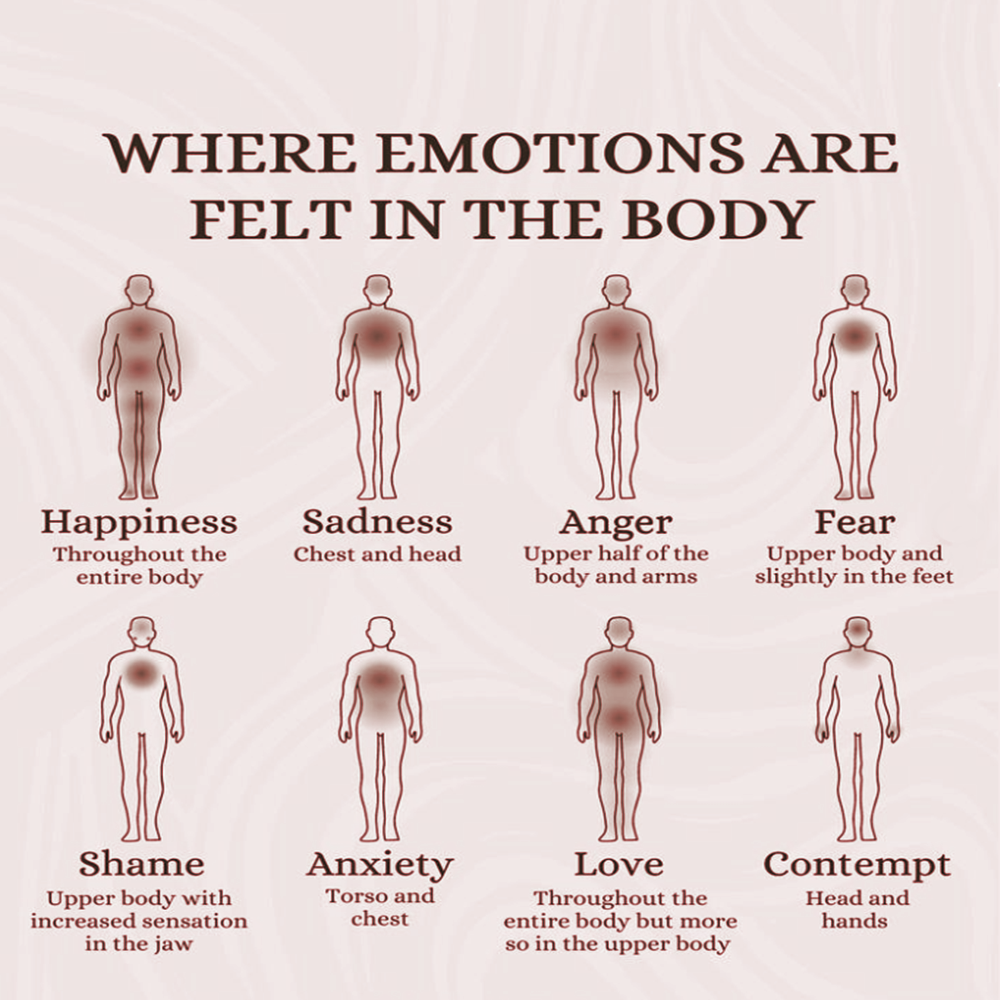 Mind Body Talk Decoding The Secret Language Of Your Emotions By 