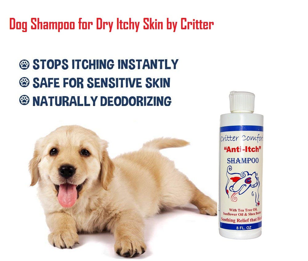 The Best Way to Bathe Your Dog. It’s time for the dog’s bath! How often