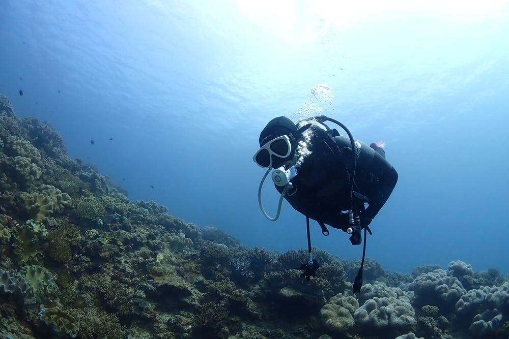 How to Choose the Right Scuba Certification Program | by Adventure ...