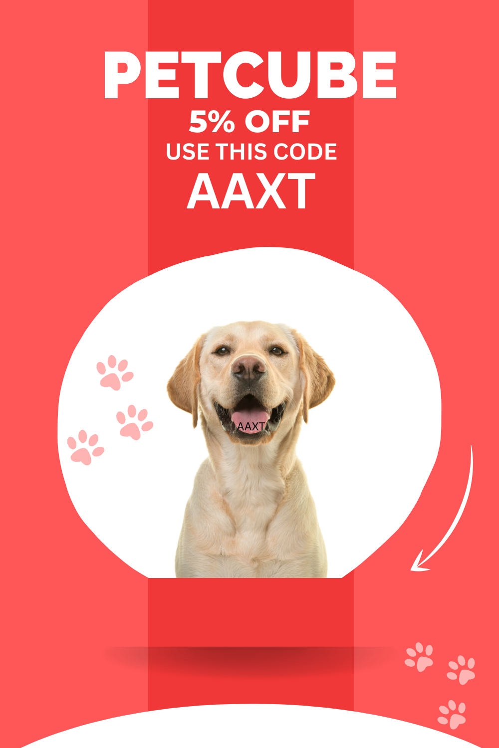 Petcube Discount Codes For May 2024 — Coupontoaster Coupontoaster