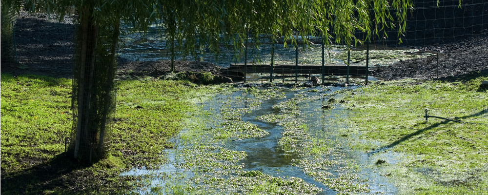 Java 8 Stream Cheatsheet. Streams are a way of working with… | by ...