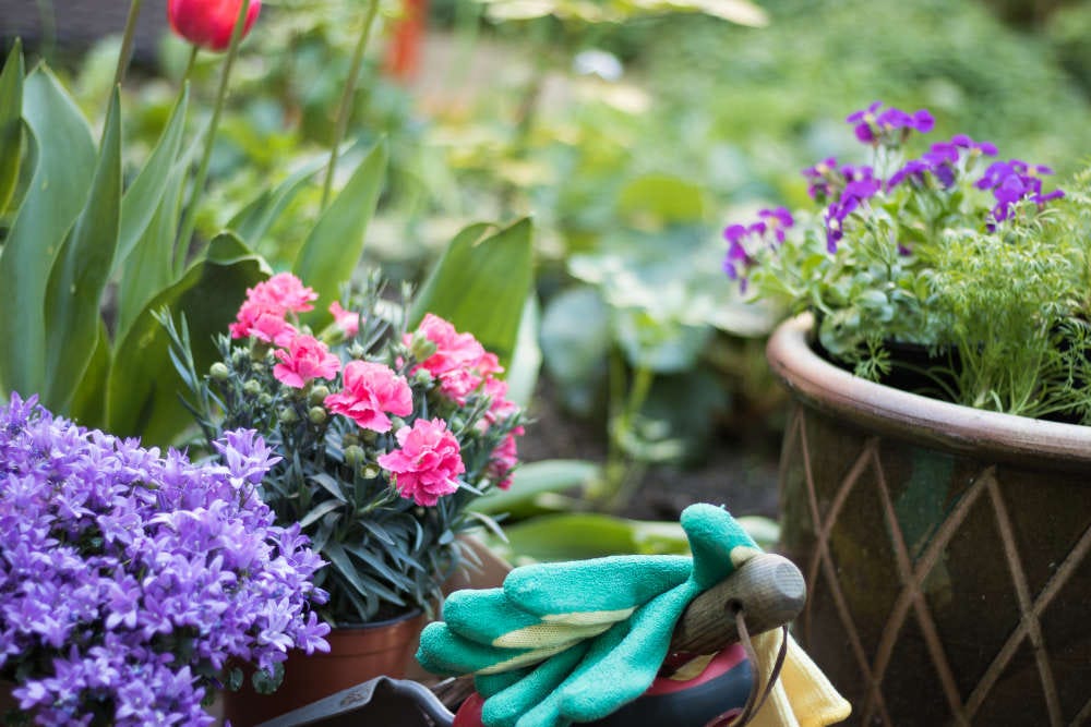 Der Garten im April. Sobald der Frühling richtig… by Maja Summer Medium