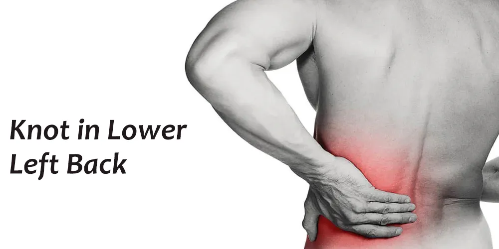 The Lower Back Pain Muscle (How to Release It for INSTANT RELIEF) 