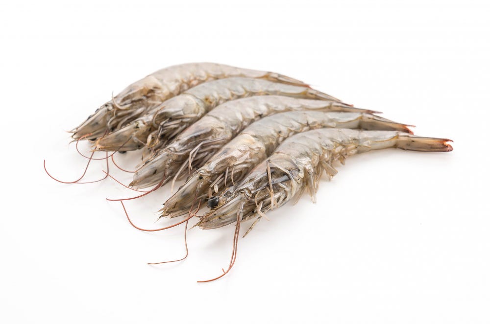 Top Global Players in Prawn Exporting: Who Leads the Market?