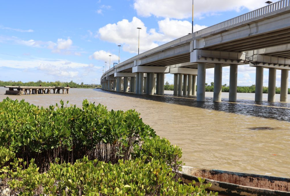 Timby App: Unleashing Technology To Uncover Climate Injustices