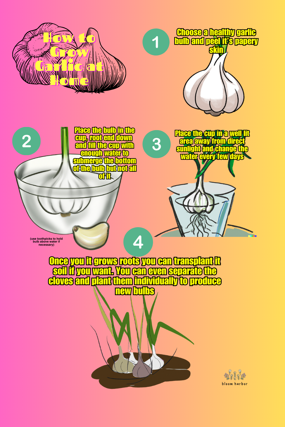 How to Easily Grow Garlic at Home with Just a Cup of Water Easy