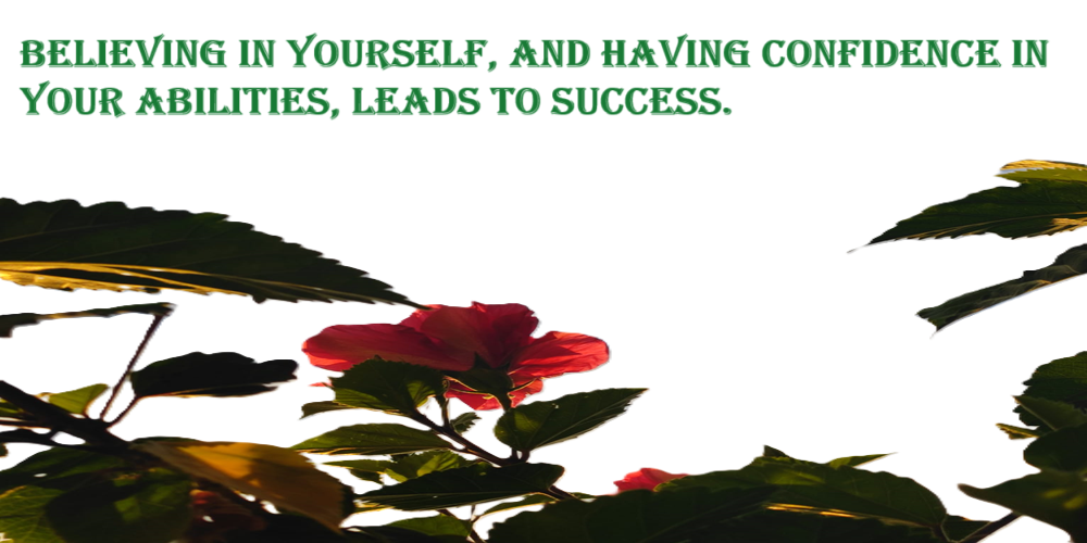 Self-Confidence Is Very Important For Success