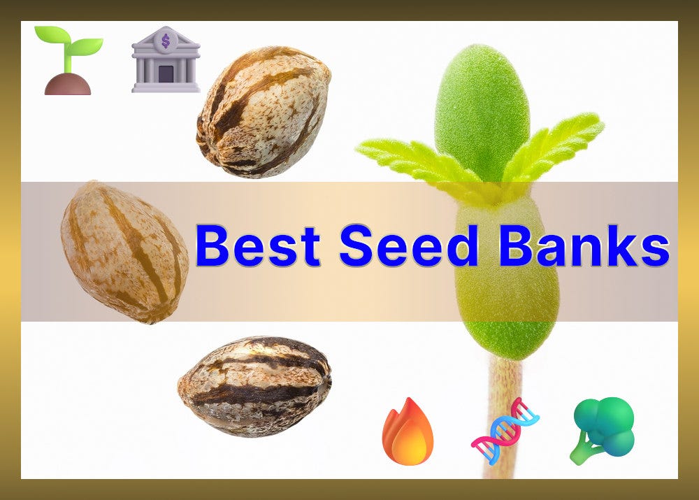Best Seed Banks Top 10 Cannabis Seed Companies Medium
