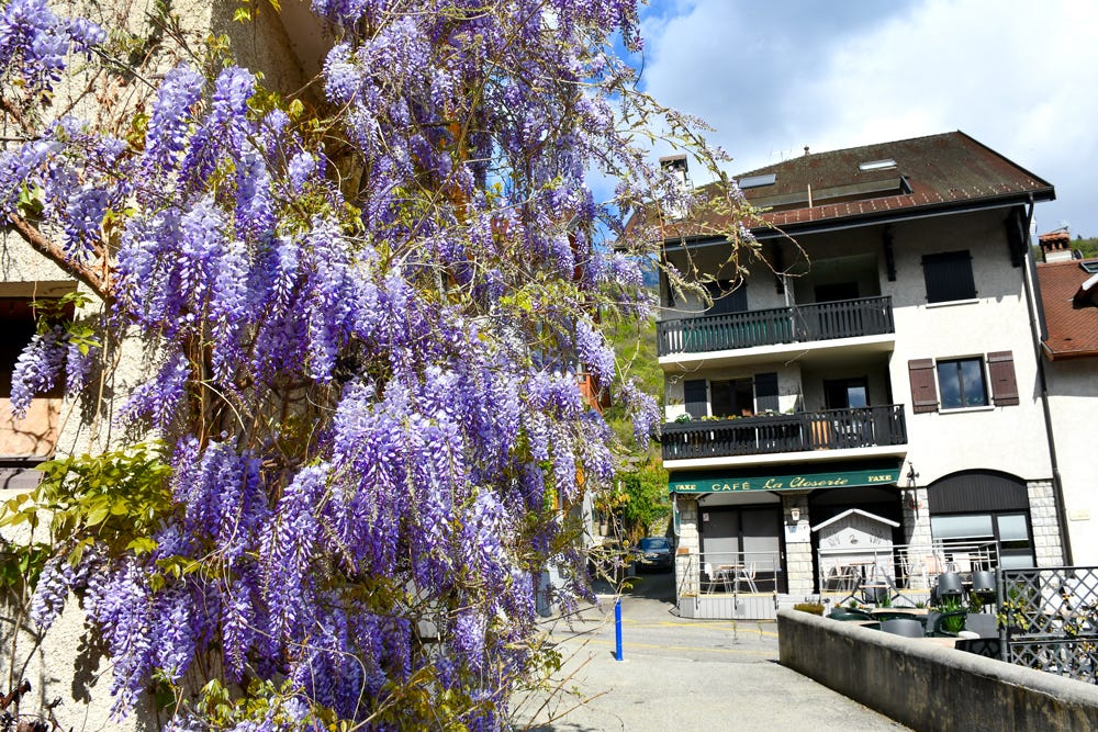 Talloires, Lake Annecy: A Walk I Didn’t Want to End