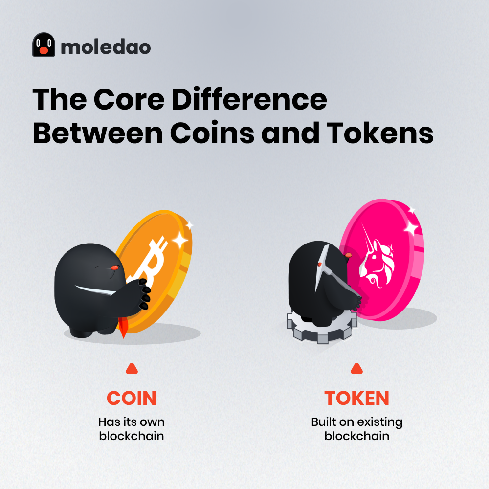 Coin vs Token: The Simple Difference Every Web3 Beginner Should Know