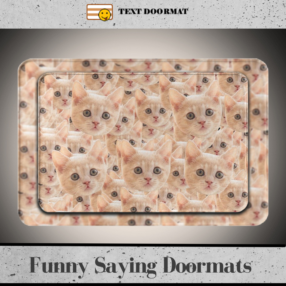 Get Your Interesting Funny Saying Doormats That Will Make Everyone