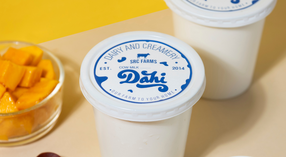 Why Milk Dahi Is Not the Same as Regular Curd (And Why the Difference Matters for Your Gut)
