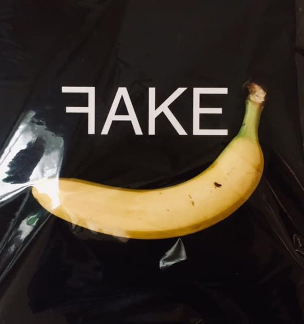 WHAT DOES FAKE MEAN visual data 4