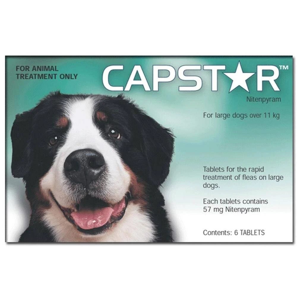 Capstar Flea Treatments For Dogs. Say goodbye to pesky fleas in your… by Stephanie Sharp Sep