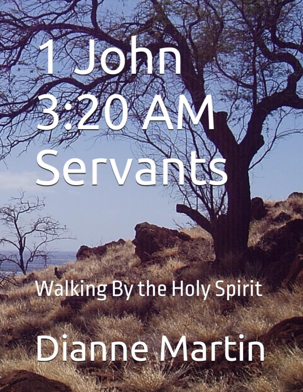 [READ][BEST]} 1 John 3:20 AM Servants: Walking By the Holy Spirit ...