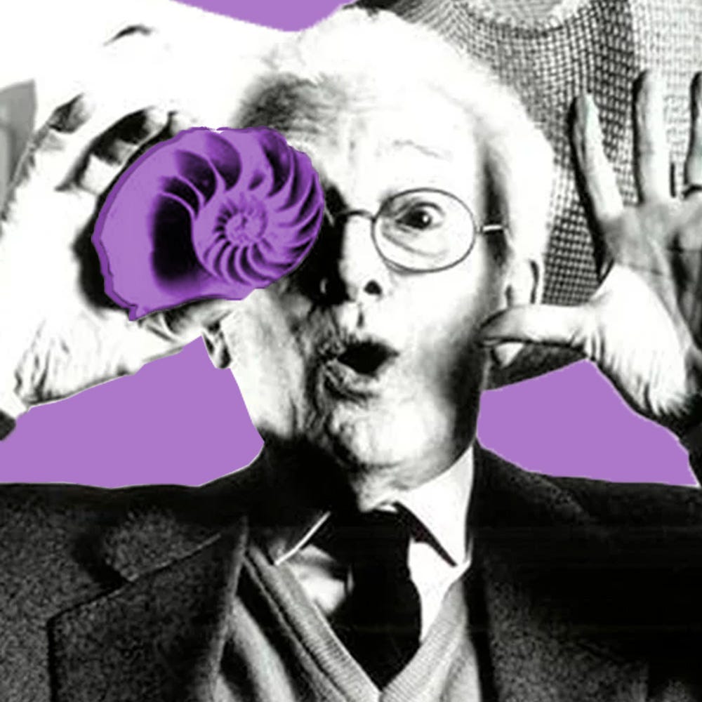 Back to basics: what did Bruno Munari leave for designers in “Design as  art”?, by Szymon Labus