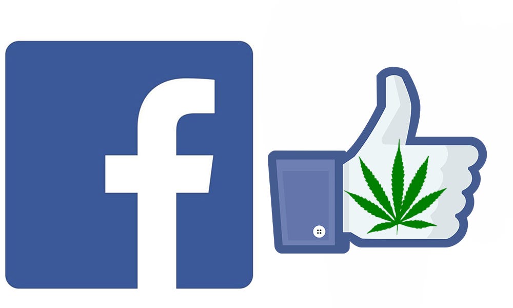 The Top 10 Cannabis Pages To Follow On Facebook [Best Marijuana