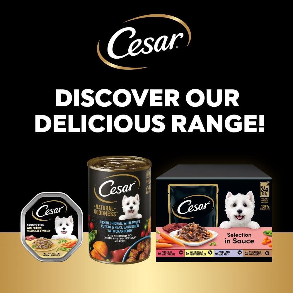Cesar Classic Terrine in Jelly 24 Trays, Adult Premium Wet Dog Food, Mixed Selection, Pack of 3 (8…
