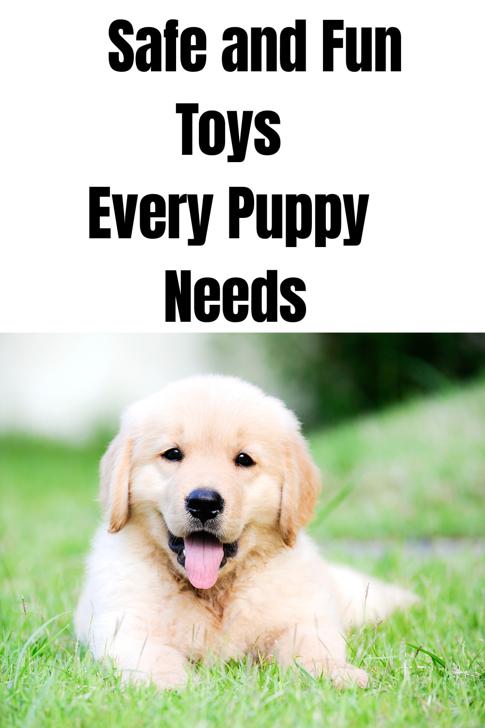 Photo Courtesy of Canva