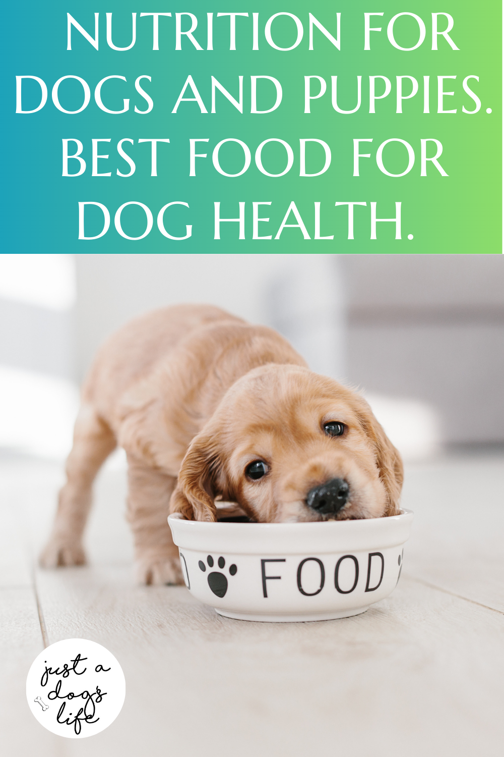 The Raw Food Diet for Dogs and Puppies Nurturing Health and Happiness