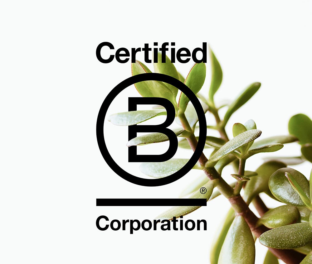 On Becoming A B Corp. Achieving B Corp Certification Is A… | By Joana ...