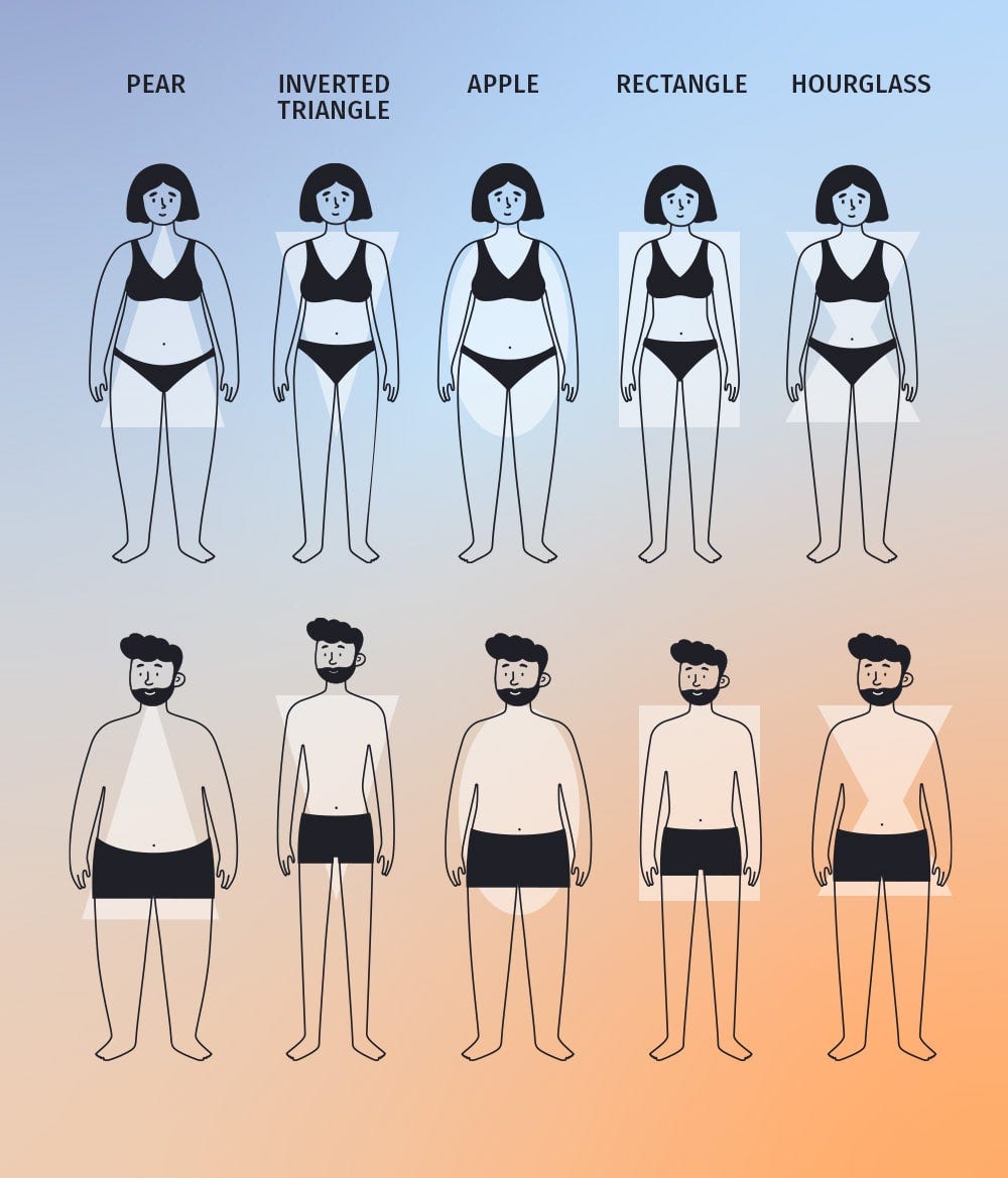 What are some different body types?