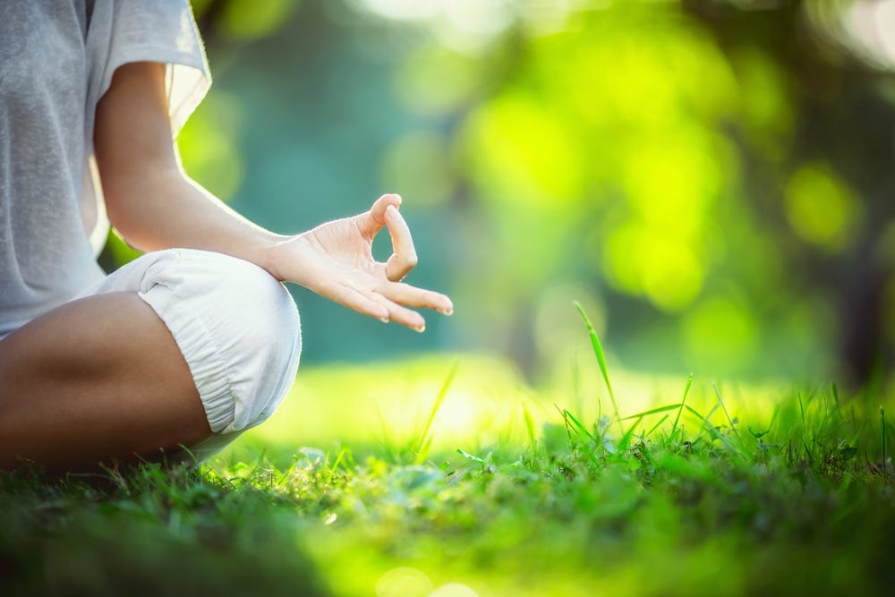 Yoga: A Holistic Approach to Health and Well-Being, by Sahin Erdemir