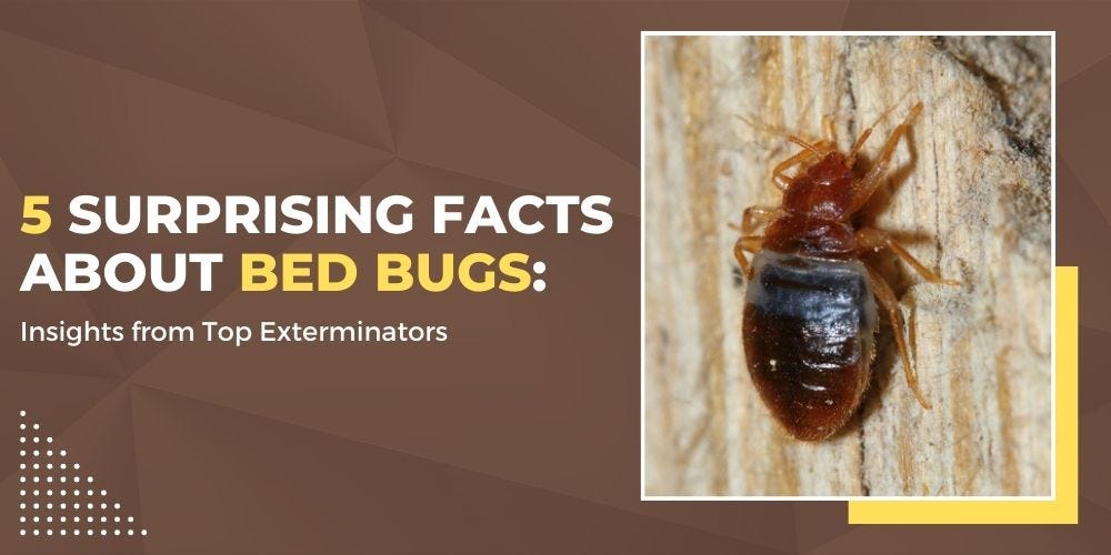 5 Surprising Facts About Bed Bugs Insights from Top Exterminators by