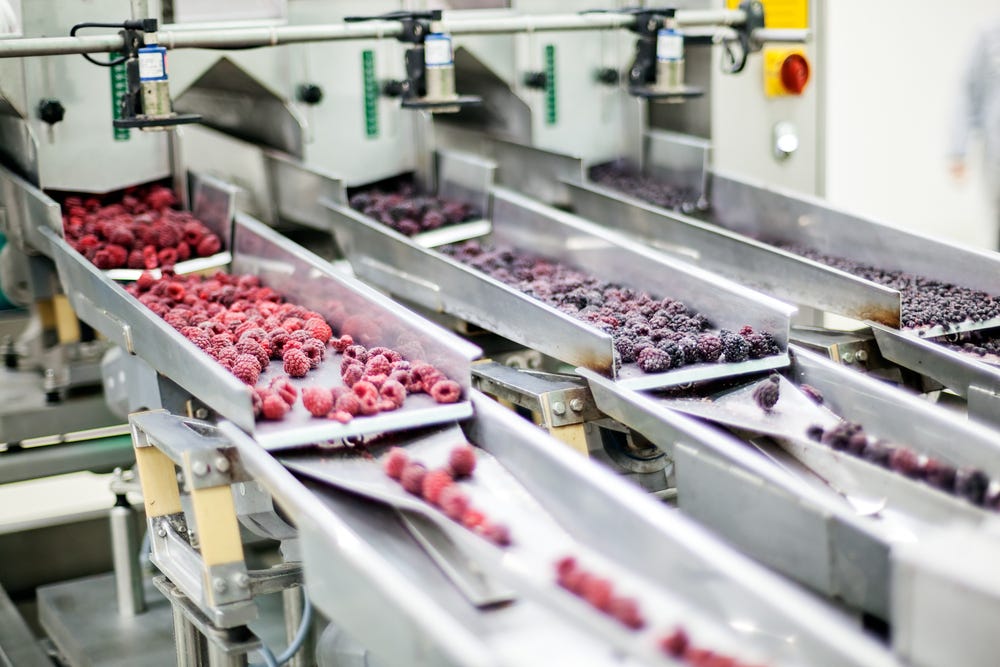 What Important Things that You Should Know About Food Processing? | by ...