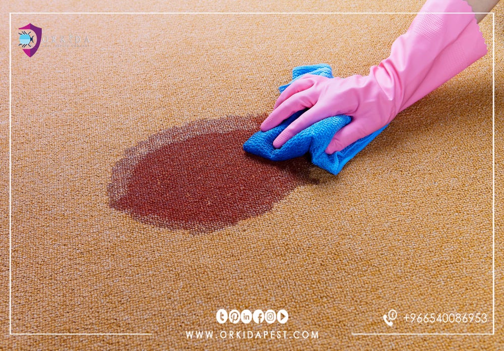 How to clean carpets without washing by ORKIDA PEST Medium