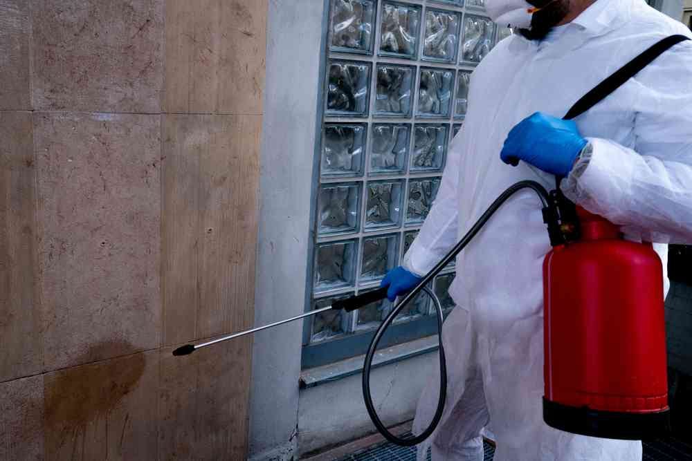All You Need To Know About Electrostatic Sprayer How It Works and Is