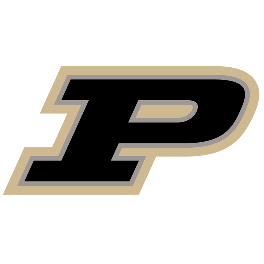 DOES PURDUE HAVE GOOD ENGINEERING visual data 8