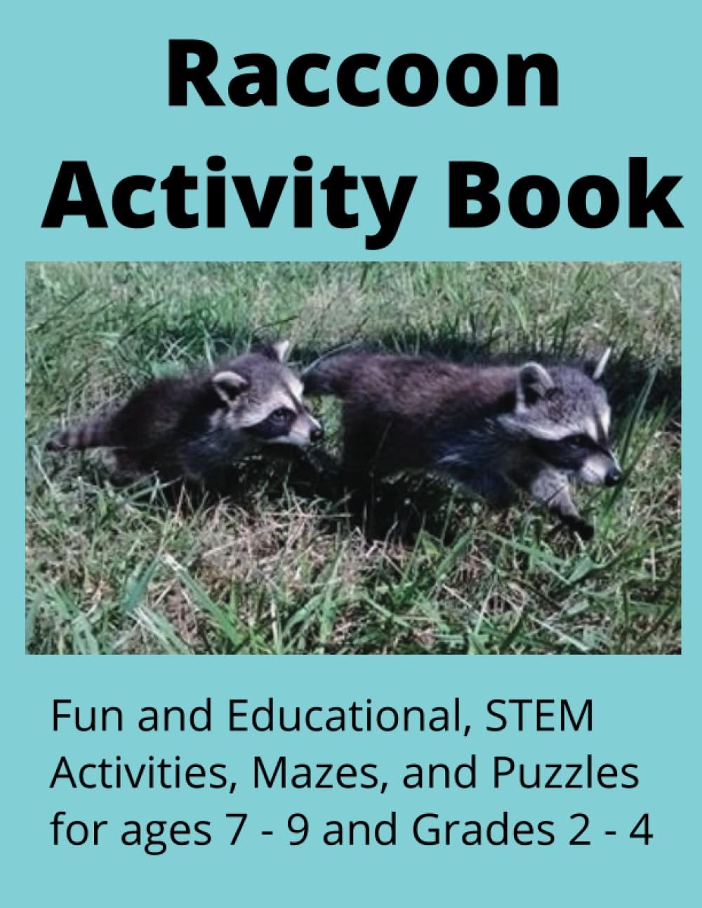 PDF File Raccoon Activity Book: Fun &amp; Educational STEM activities ...