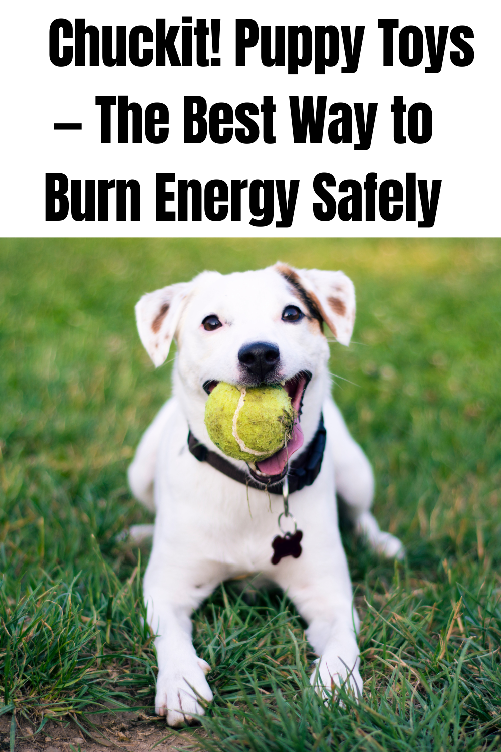 Photo Courtesy of Canva