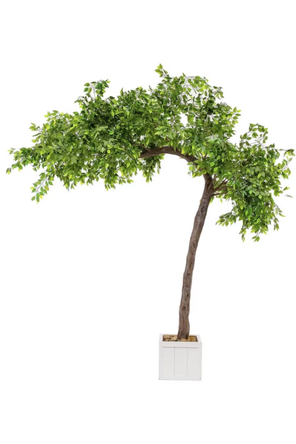 11ft Tall Artificial Grand Arch Fake Fig Leaf Tree