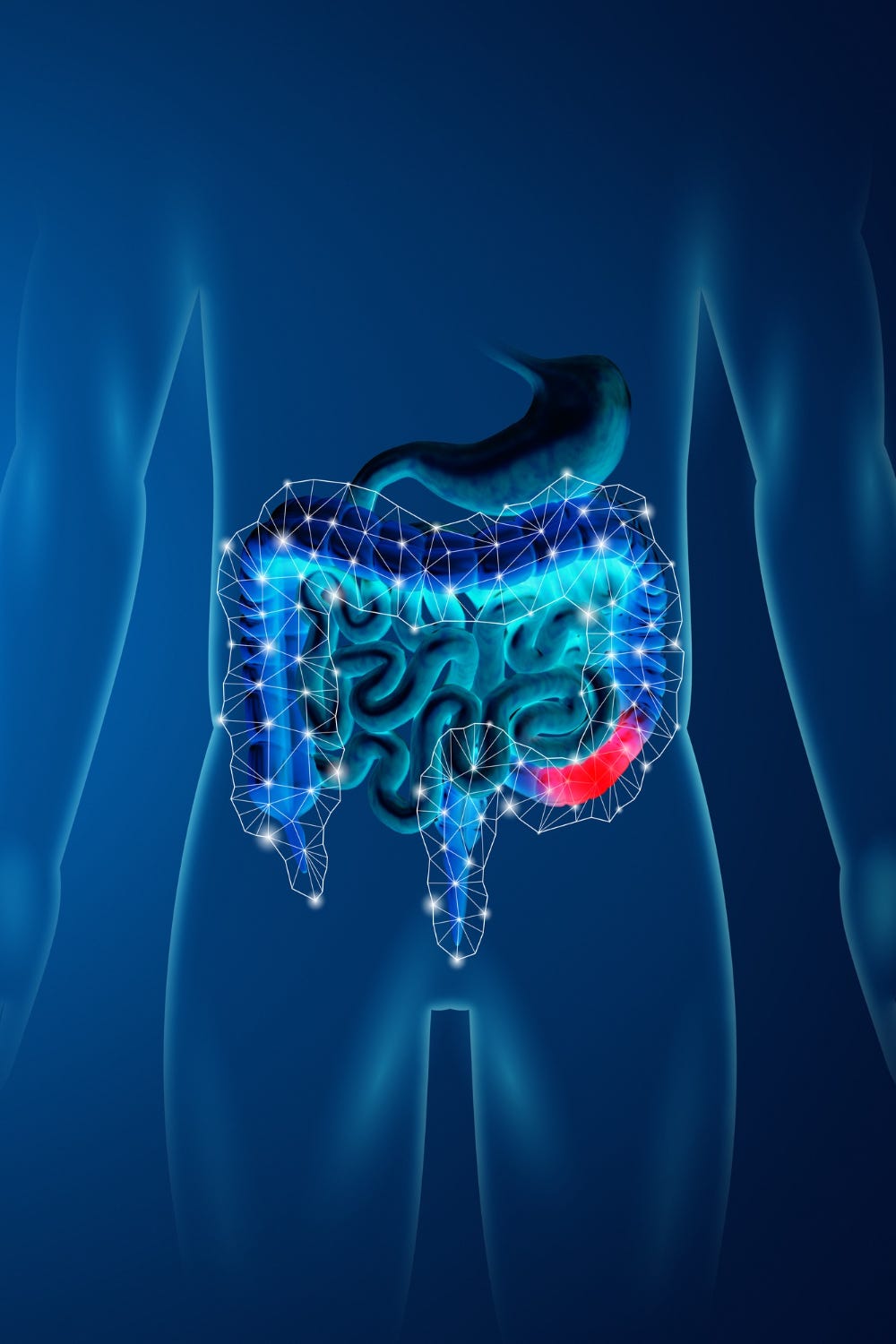 Navigating Stomach Disorders: A Comprehensive Guide to Gastrointestinal 