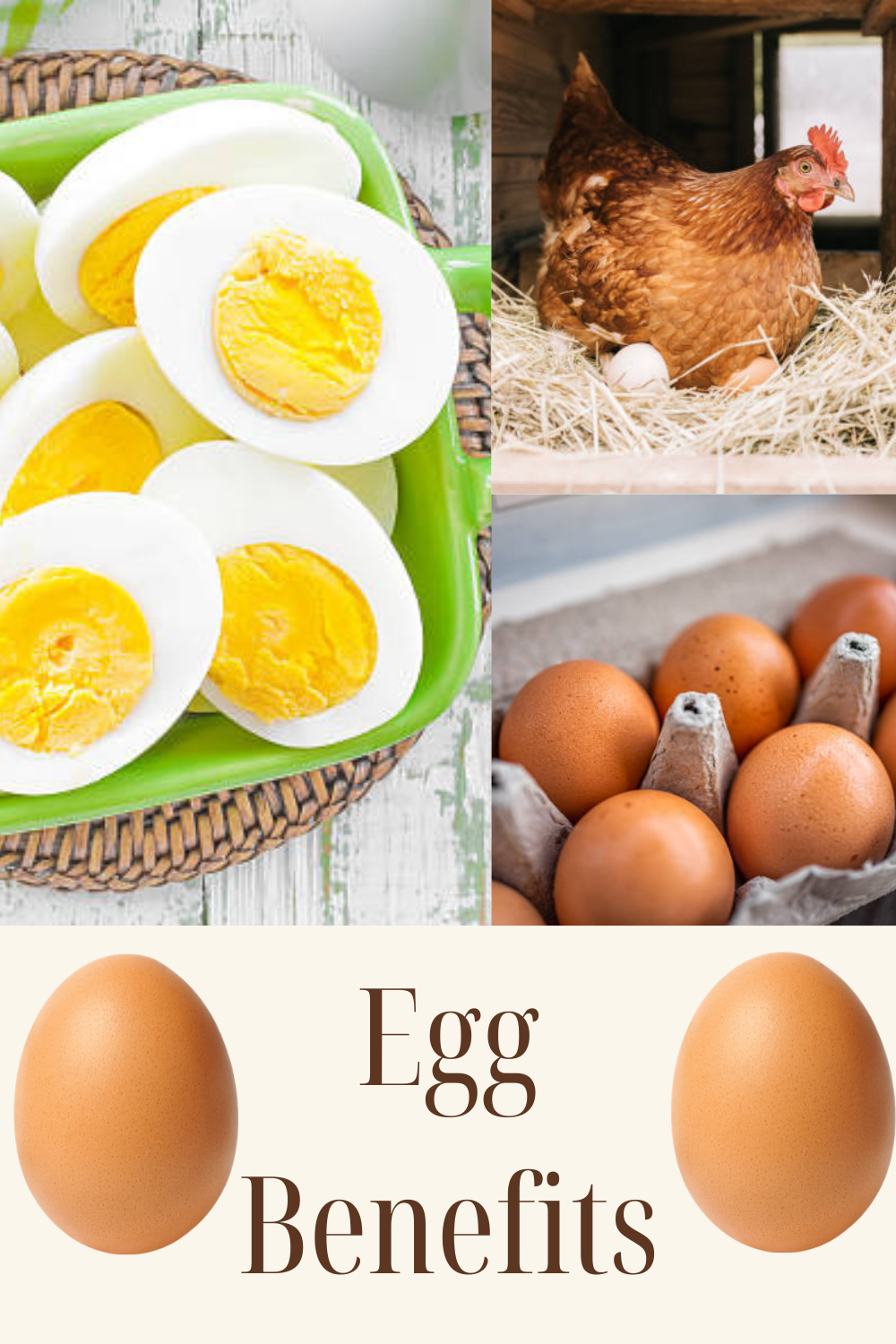Egg Health benefits, nutritional value, and more Fruitysite Medium