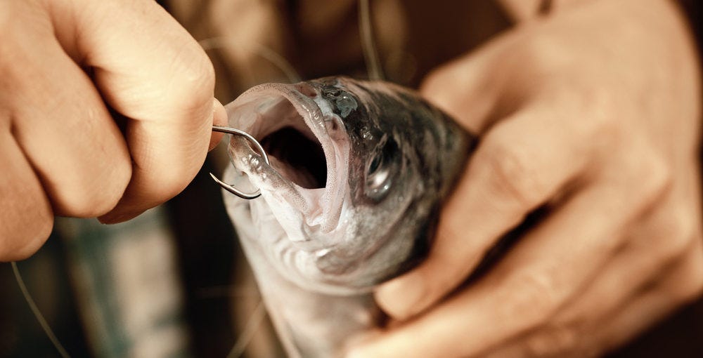 How To Remove A Fishing Hook From Your Skin, by Kristine Marie McDougal