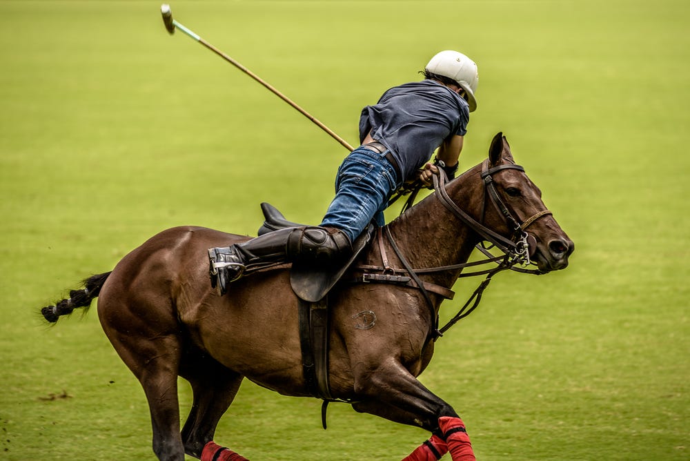 How to start playing Polo?. Few tips to jump on the horse and get… | by Polo  Travelers | Medium
