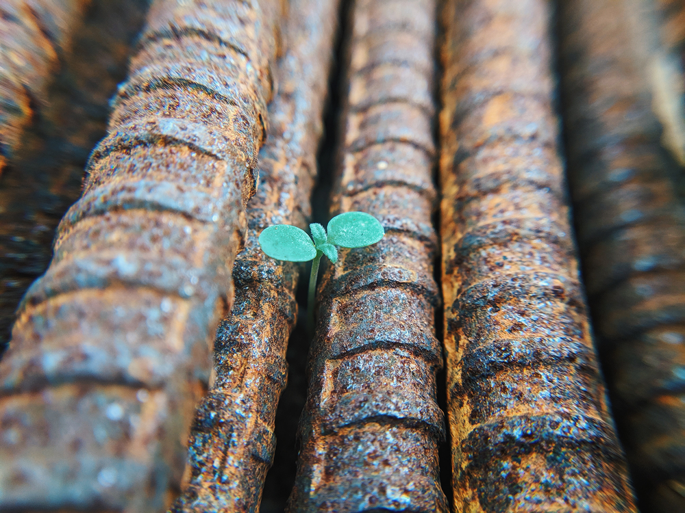 Using Rust to corrode insane Python run-times | by Edward Wright ...