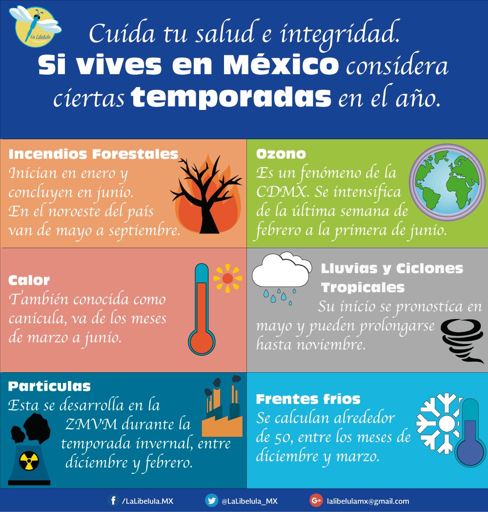 Seis temporadas al año en México, que todas las personas debemos conocer |  by La Libélula México | Medium