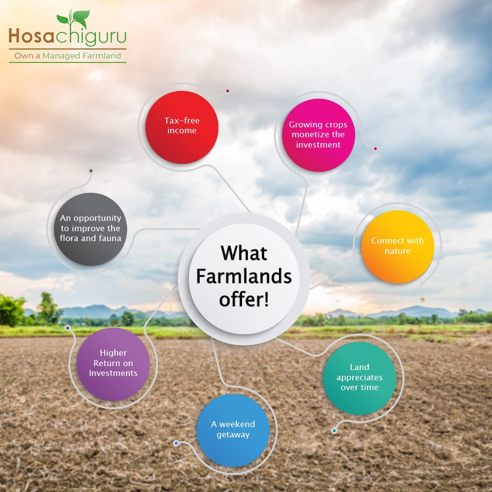 buy-agriculture-land-hosachiguru-by-hosachiguru-farm-medium