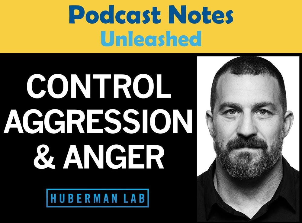 Understanding and controlling aggression Huberman Lab Podcast 71