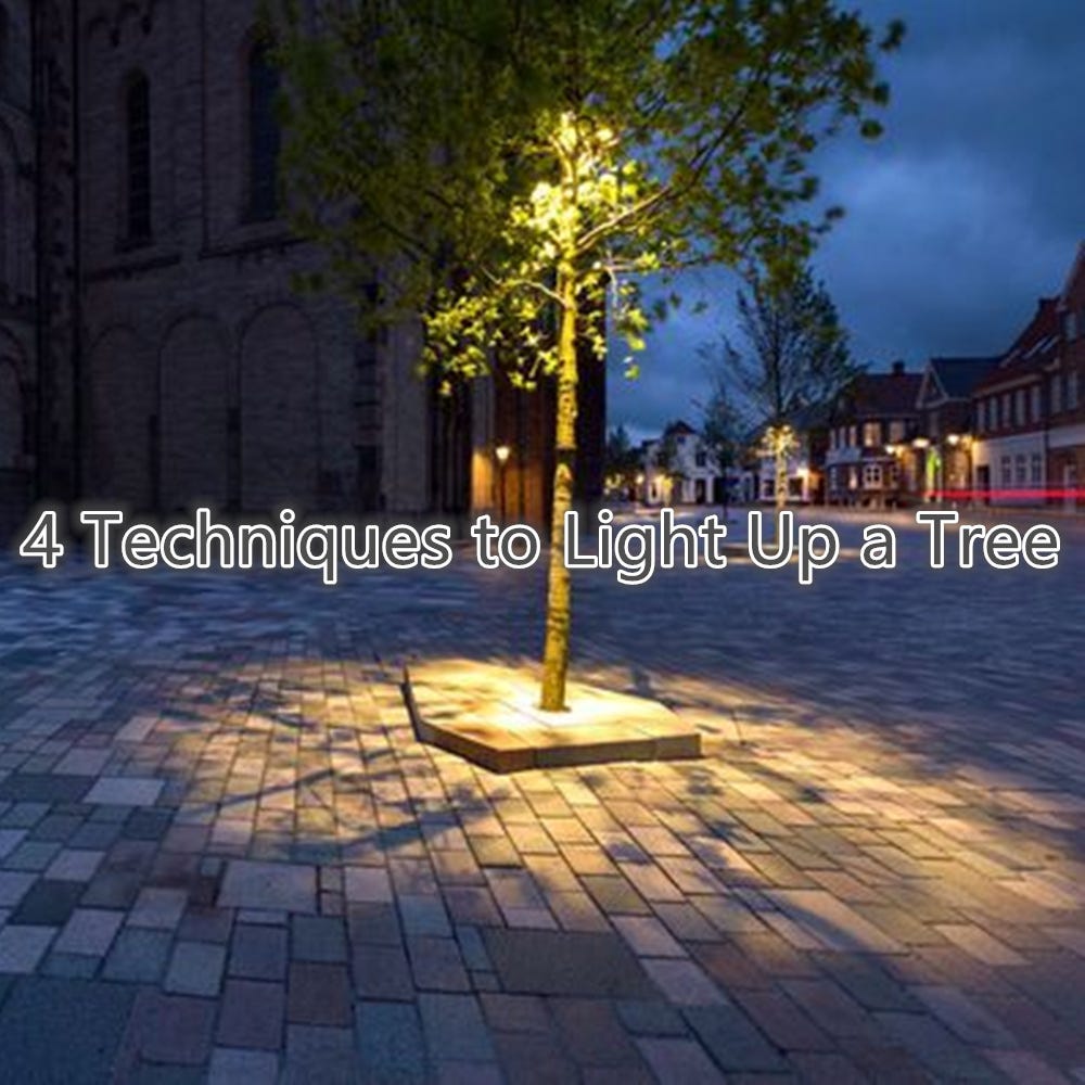 4 Techniques to Light Up a Tree. Without a doubt, the most exciting