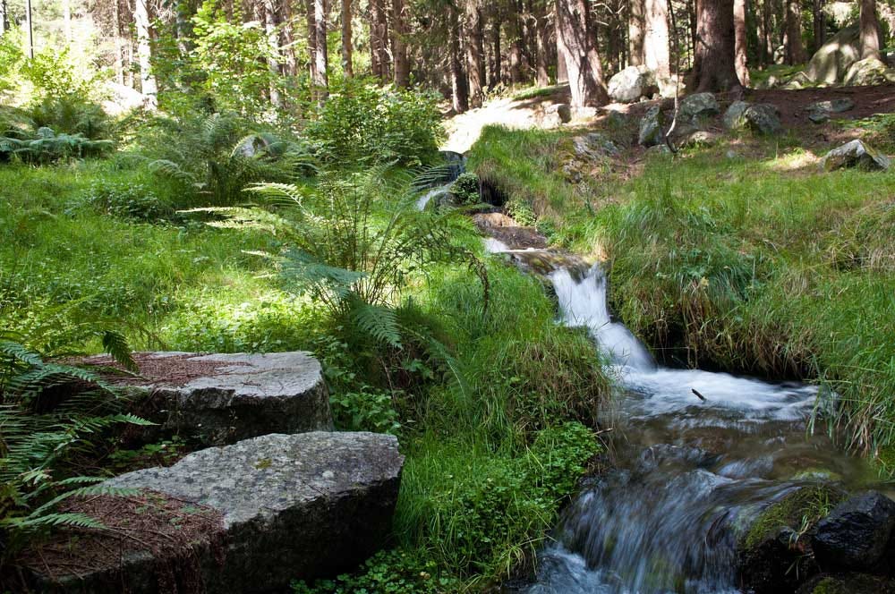 Exploring the stream Alex Papworth Medium