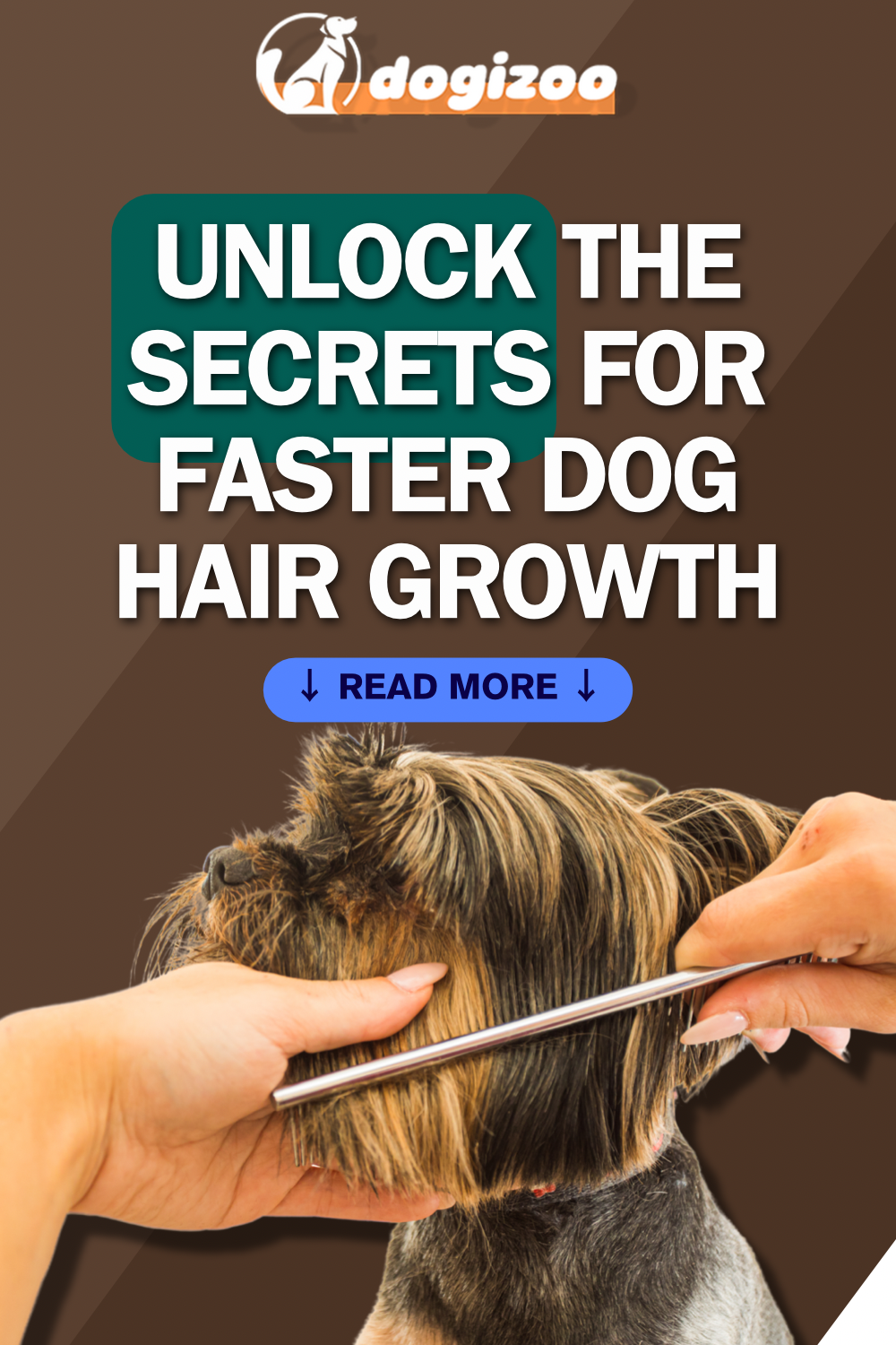 Discover the Key to Rapid Dog Hair Growth by dogizoo Dec, 2023 Medium