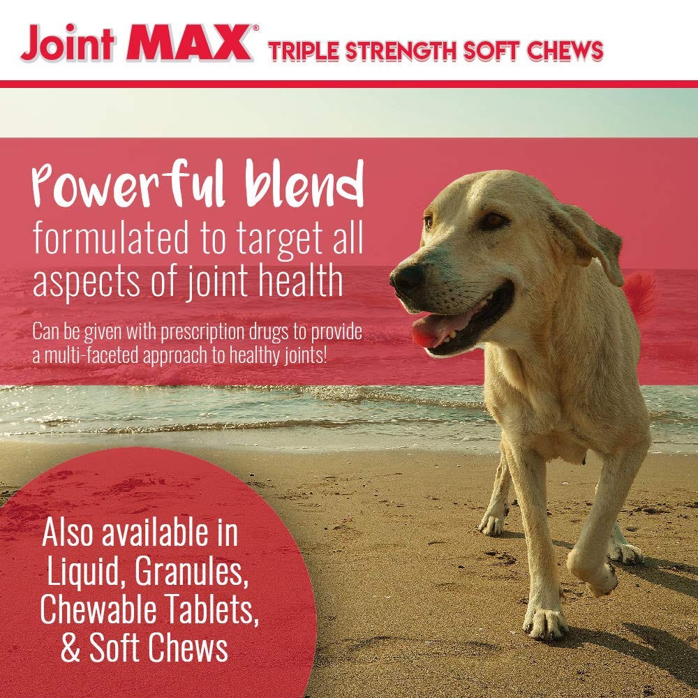 Glucosamine Chondroitin for dogs. Help your Dogs improve Mobility and