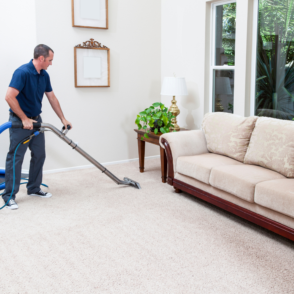 Revolutionizing Carpet Cleaning: A New Era of Spotless Interiors | by ECO  POWER CARPET CLEANING | Jan, 2024 | Medium